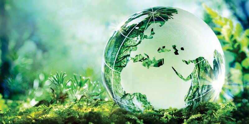 Study Environmental science in the Netherlands - Attractive job opportunities